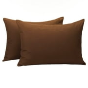 Ntbay 2 Pack Microfiber Toddler Pillowcases, Ultra Soft Travel Pillow Covers with Zipper Closure, 13" x 18", Coffee