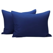 Ntbay 2 Pack Microfiber Toddler Pillowcases, Ultra Soft Travel Pillow Covers with Zipper Closure, 13" x 18", Navy Blue
