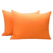Ntbay 2 Pack Microfiber Toddler Pillowcases, Ultra Soft Travel Pillow Covers with Zipper Closure, 13" x 18", Orange