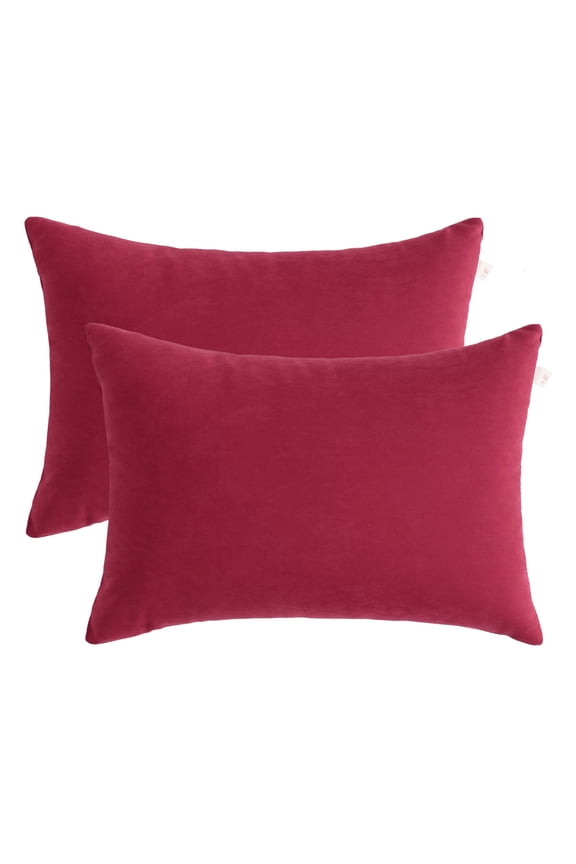 Ntbay 2 Pack Microfiber Ultra Soft Toddler Pillows, Machine Washable Travel Small Pillows with Excellent Resilience for Neck, Wrist, Lumbar and Knee Support, 13" x 18", Red