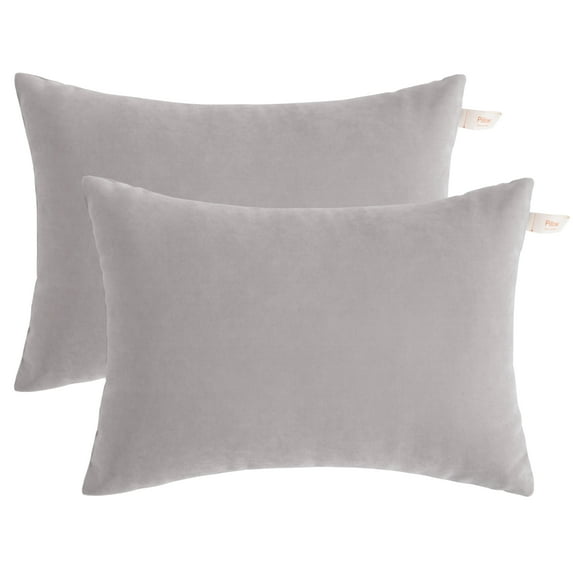 Ntbay 2 Pack Microfiber Ultra Soft Toddler Pillows, Machine Washable Travel Small Pillows with Excellent Resilience for Neck, Wrist, Lumbar and Knee Support, 13" x 18", Light Gray