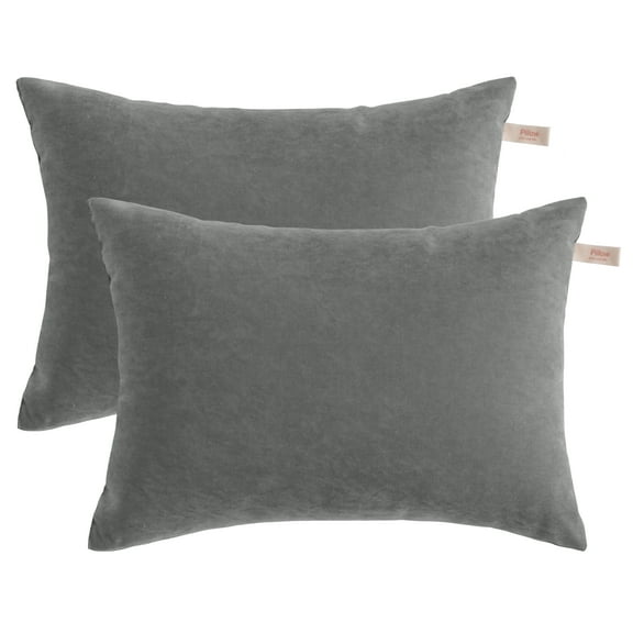 Ntbay 2 Pack Microfiber Ultra Soft Toddler Pillows, Machine Washable Travel Small Pillows with Excellent Resilience for Neck, Wrist, Lumbar and Knee Support, 13" x 18", Dark Gray