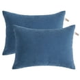 thumbnail image 1 of Ntbay 2 Pack Microfiber Ultra Soft Toddler Pillows, Machine Washable Travel Small Pillows with Excellent Resilience for Neck, Wrist, Lumbar and Knee Support, 13" x 18", Denim Blue, 1 of 6