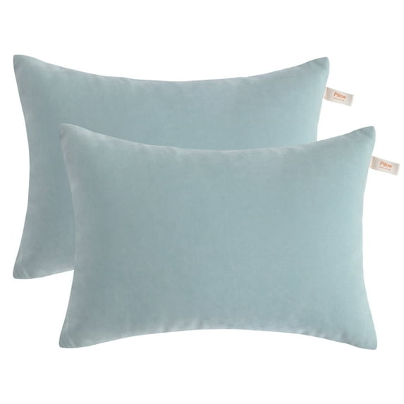 Ntbay 2 Pack Microfiber Ultra Soft Toddler Pillows, Machine Washable Travel Small Pillows with Excellent Resilience for Neck, Wrist, Lumbar and Knee Support, 13" x 18", Sea Green