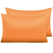 Ntbay 2 Pack Satin King Breathable Pillowcases for Hair and Skin, Ultra Soft and Smooth Pillow Cases Set with Hidden Zipper, 20" x 36", Orange