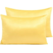 Ntbay 2 Pack Satin Queen Breathable Pillowcases for Hair and Skin, Ultra Soft and Smooth Pillow Cases Set with Hidden Zipper, 20" x 30", Yellow