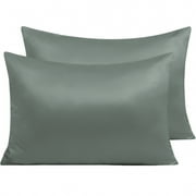 Ntbay 2 Pack Satin Standard Breathable Pillowcases for Hair and Skin, Ultra Soft and Smooth Pillow Cases Set with Hidden Zipper, 20" x 26", Dark Gray
