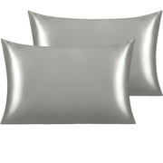Ntbay 2 Pack Silk Satin Queen Pillowcases for Hair and Skin, Luxury and Soft Pillow Cases with Envelope Closure, 20" x 30", Gray