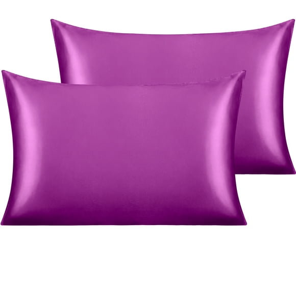 Ntbay 2 Pack Silk Satin Queen Pillowcases for Hair and Skin, Luxury and Soft Pillow Cases with Envelope Closure, 20" x 30", Purple