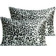 thumbnail image 1 of Ntbay 2 Pack Silky Satin Standard Pillowcases for Hair and Skin, Luxury and Soft Pillow Cases with Envelope Closure, 20" x 26", Leopard, 1 of 5