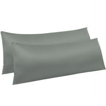 Ntbay 2 Pack Silky Satin Body Pillowcase for Hair and Skin, Ultra Soft Cozy Long Body Pillow Cover with Zipper Closure, 20" x 54", Dark Gray