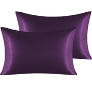 Ntbay 2 Pack Silky Satin Queen Pillowcases for Hair and Skin, Luxury and Soft Pillow Cases with Envelope Closure, 20" x 30", Eggplant Purple