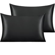Ntbay 2 Pack Silky Satin Standard Pillowcases for Hair and Skin, Luxury and Soft Pillow Cases with Envelope Closure, 20 x 26, Black