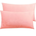 thumbnail image 1 of Ntbay 2 Pack Velvet King Hidden Zippered Pillowcases, Super Soft and Cozy Luxury Solid Color Pillow Cases, 20 x 36 Inches, Pink, 1 of 5