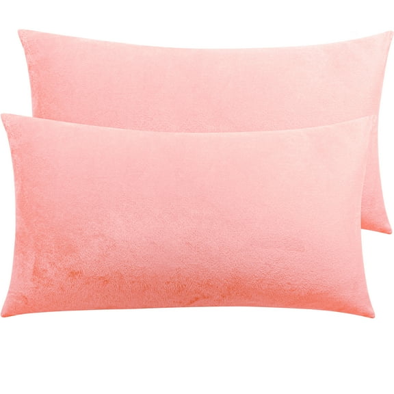 Ntbay 2 Pack Velvet King Hidden Zippered Pillowcases, Super Soft and Cozy Luxury Solid Color Pillow Cases, 20 x 36 Inches, Pink