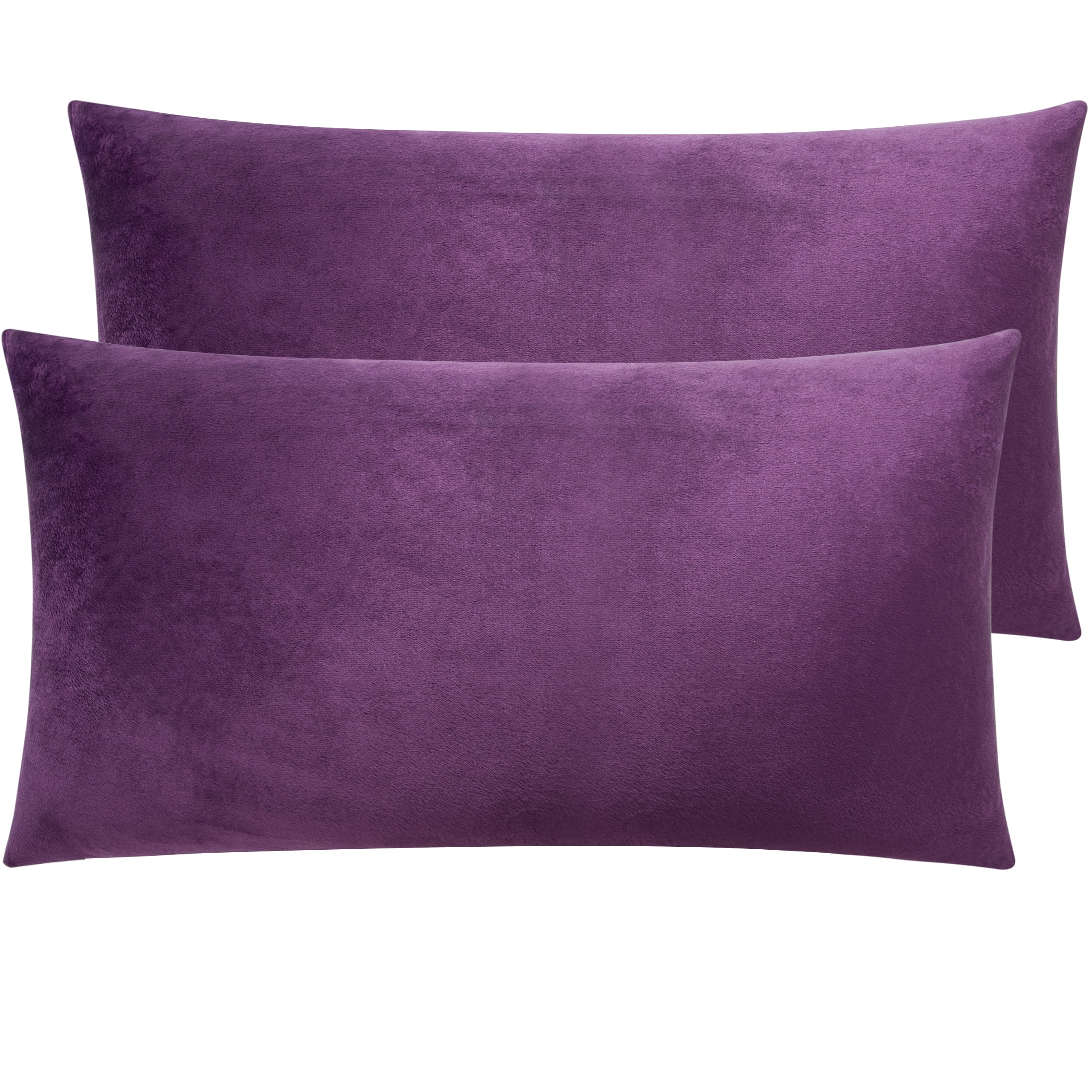 Ntbay 2 Pack Velvet King Hidden Zippered Pillowcases, Super Soft and