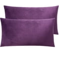 thumbnail image 1 of Ntbay 2 Pack Velvet King Hidden Zippered Pillowcases, Super Soft and Cozy Luxury Solid Color Pillow Cases, 20 x 36 Inches, Purple, 1 of 5