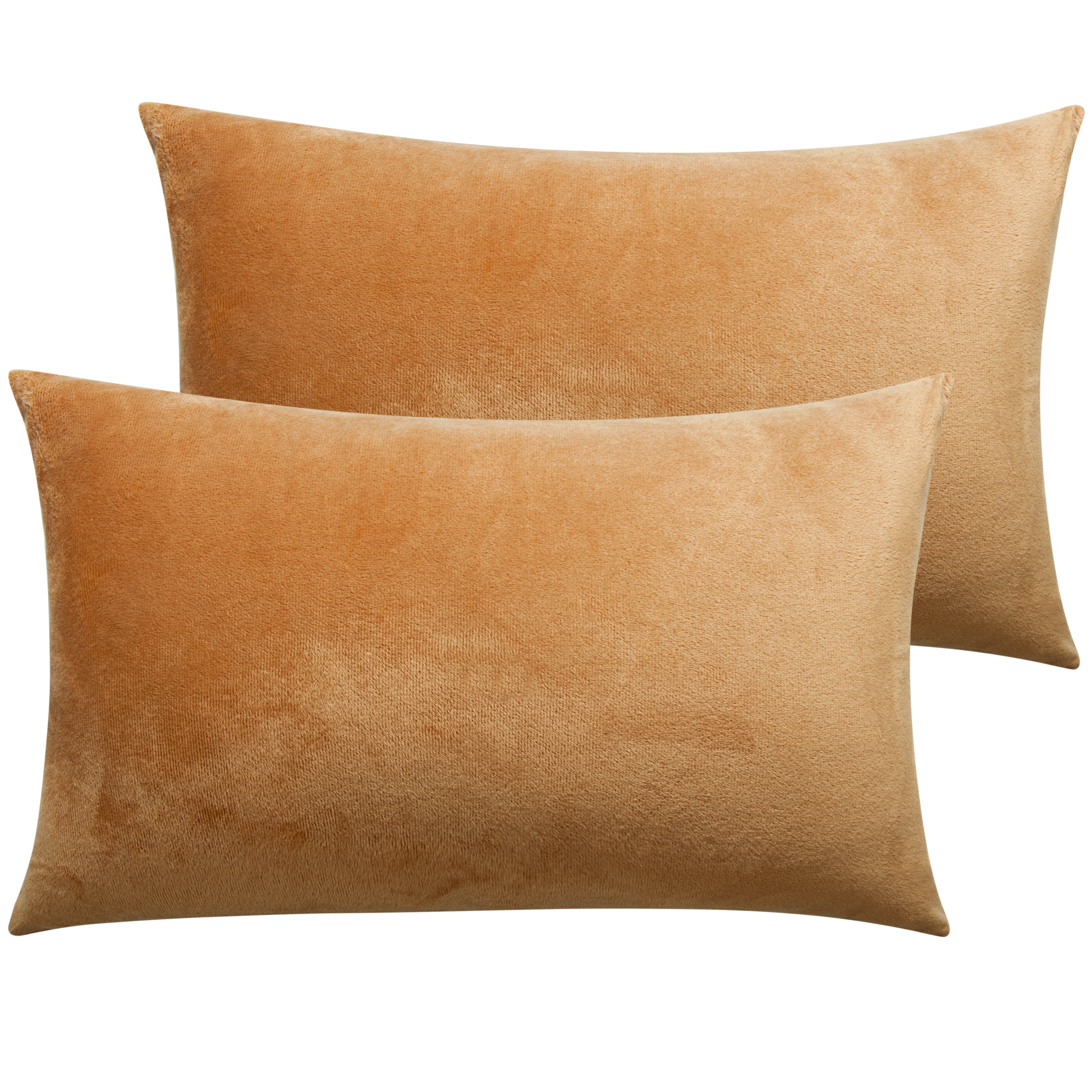 Ntbay 2 Pack Velvet Queen Hidden Zippered Pillowcases, Super Soft and