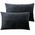 thumbnail image 1 of NT Bay Charcoal Gray Velvet Pillowcases, (2 Count), 1 of 5