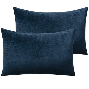 Ntbay 2 Pack Velvet Queen Hidden Zippered Pillowcases, Super Soft and Cozy Luxury Solid Color Pillow Cases, 20 x 30 Inches, Navy Blue