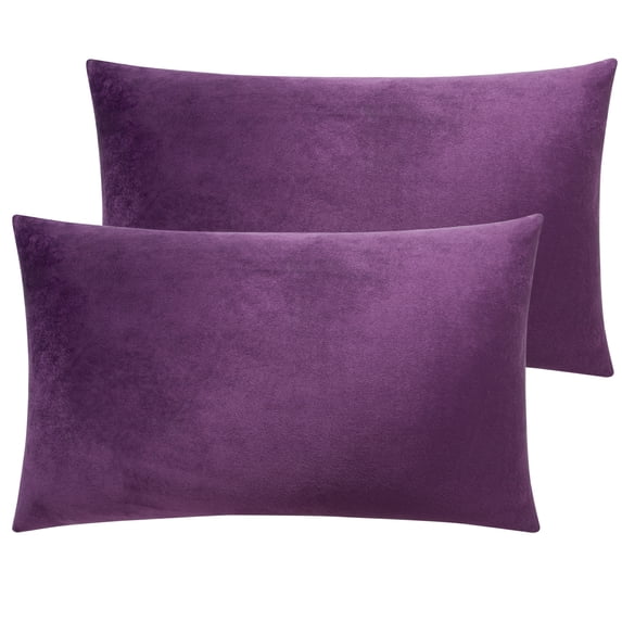 Ntbay 2 Pack Velvet Queen Hidden Zippered Pillowcases, Super Soft and Cozy Luxury Solid Color Pillow Cases, 20 x 30 Inches, Purple