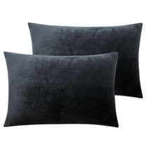 Ntbay 2 Pack Velvet Toddler Pillowcases, Soft and Warm Travel Pillow Covers with Hidden Zipper Closure, 13" x 18", Charcoal Gray