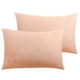 thumbnail image 1 of Ntbay 2 Pack Velvet Toddler Pillowcases, Soft and Warm Travel Pillow Covers with Hidden Zipper Closure, 13" x 18", Pink, 1 of 5