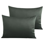 Ntbay 500 Thread Count Egyptian Cotton Queen Pillowcases Set of 2, Ultra Soft and Breathable Pillow Cases with Envelope Closure, 20x30 inches, Charcoal Gray