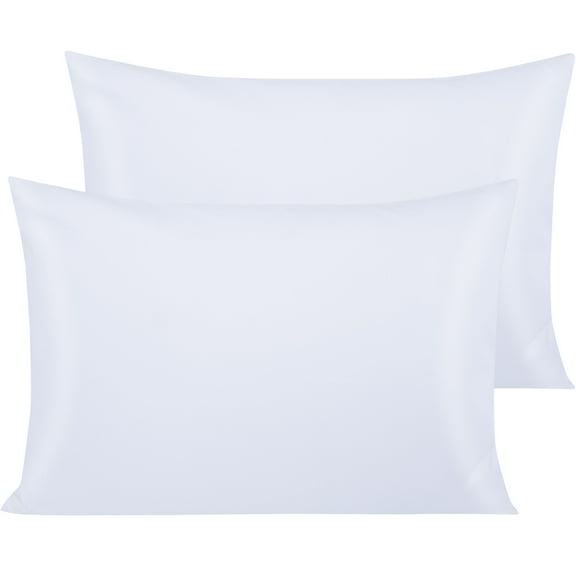 Ntbay 500 Thread Count Egyptian Cotton Queen Pillowcases Set of 2, Ultra Soft and Breathable Pillow Cases with Envelope Closure, 20x30 inches, White