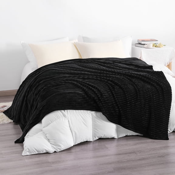 Ntbay Plush Flannel Fleece Twin Blanket, Soft Lightweight Fuzzy Luxury Bed Blanket for Couch Sofa Bed All Seasons, 60"x80", Black