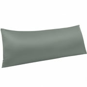 Ntbay Silky Satin Body Pillowcase for Hair and Skin, Ultra Soft Cozy Long Body Pillow Cover with Zipper Closure, 20" x 54", Dark Gray