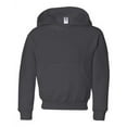thumbnail image 1 of NuBlend® Youth Hooded Sweatshirt, 1 of 4
