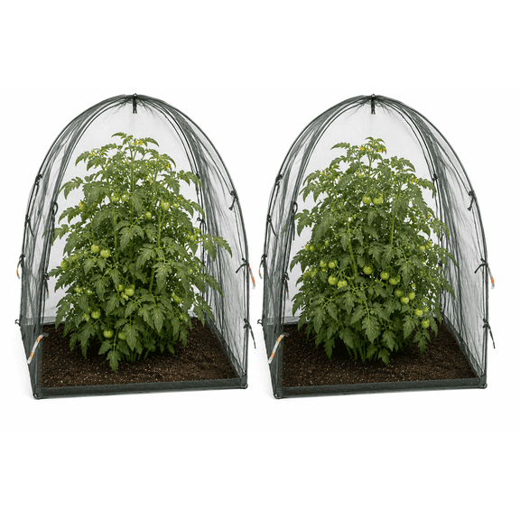 NuVue Products 25203 Pop-Up 36" x 36" x 38" Animal & Bug Guard Reuseable Plant Covers, High-Tech Synthetic, Pack of 2