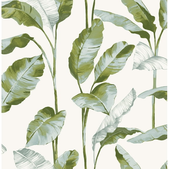 NuWallpaper 216-in by 20.5-in Banana Leaf Green Peel and Stick Wallpaper