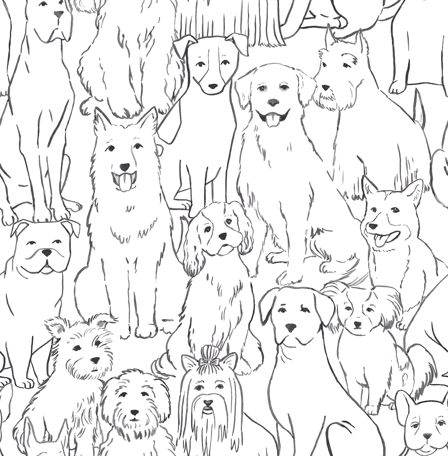 NuWallpaper Black And White Paws On Vinyl Peel And Stick Wallpaper, 216-in by 20.5-in, 30.75 sq. ft.