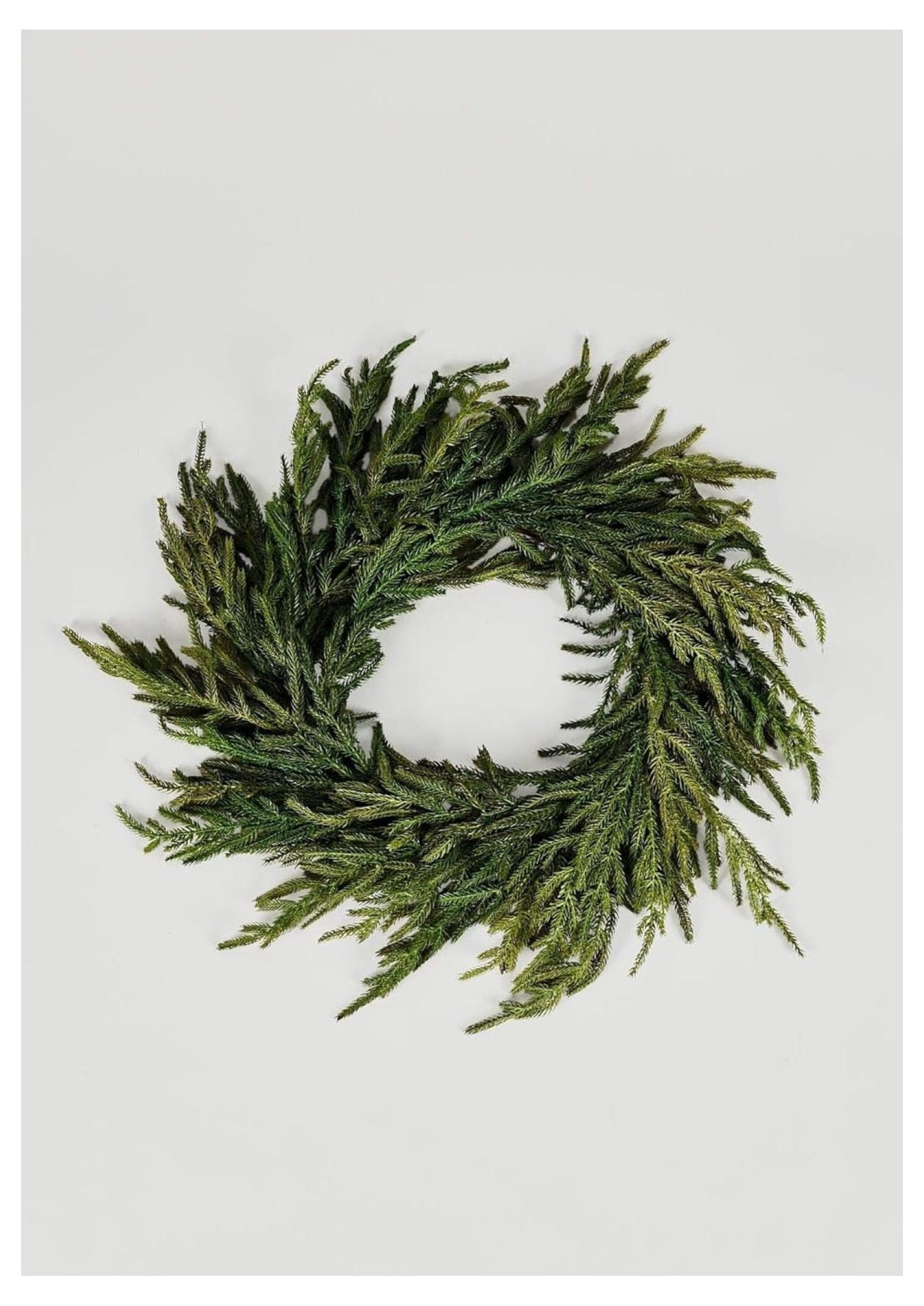 24" Green Artificial Norfolk Pine Christmas Wreath with Grapevine Base
