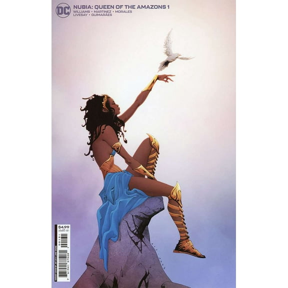 Nubia: Queen of the Amazons #1B VF ; DC Comic Book