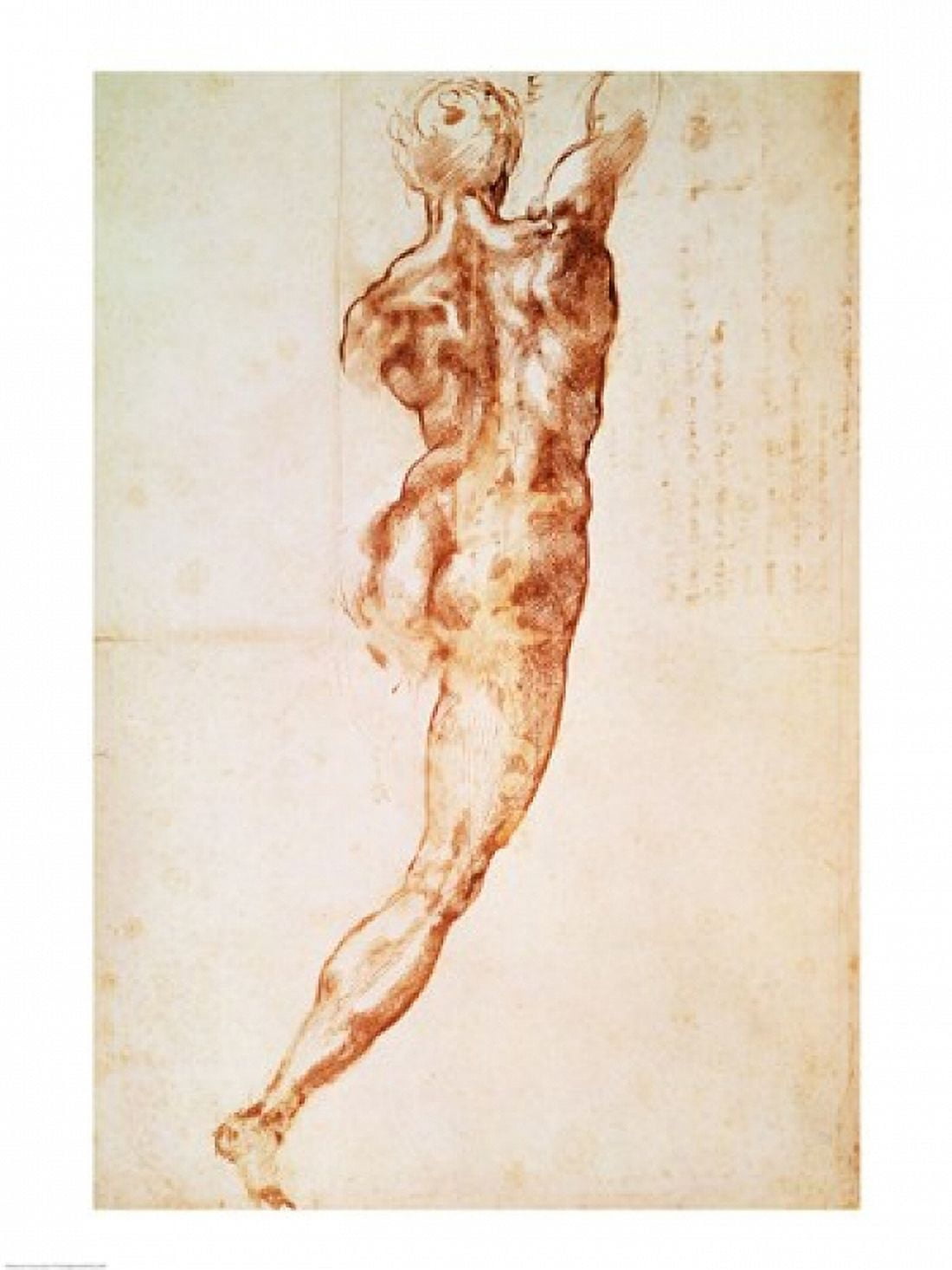Nude study for the Battle of Cascina Canvas Art - Michelangelo Buonarroti (18 x 24)