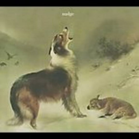 Nudge - As Good As Gone - Alternative - CD