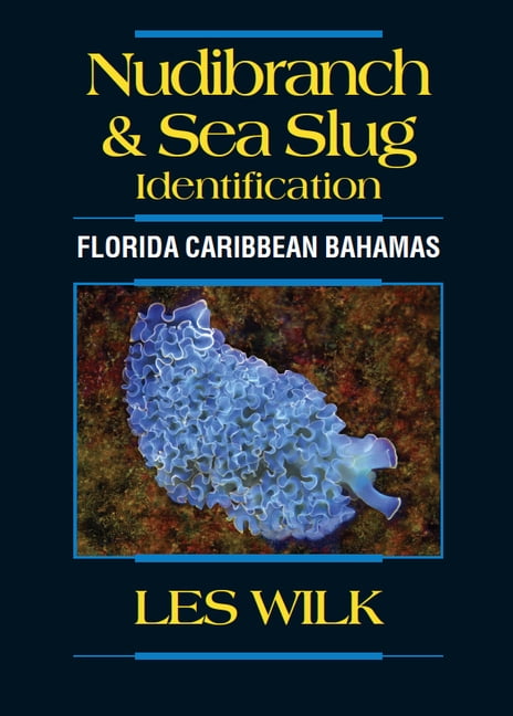 Nudibranch & Sea Slug Identification - Florida Caribbean Bahamas, (Paperback)