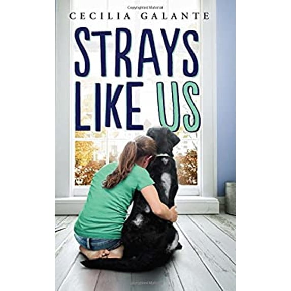Pre-Owned The Strays Like Us (Hardcover) 1338043005 9781338043006
