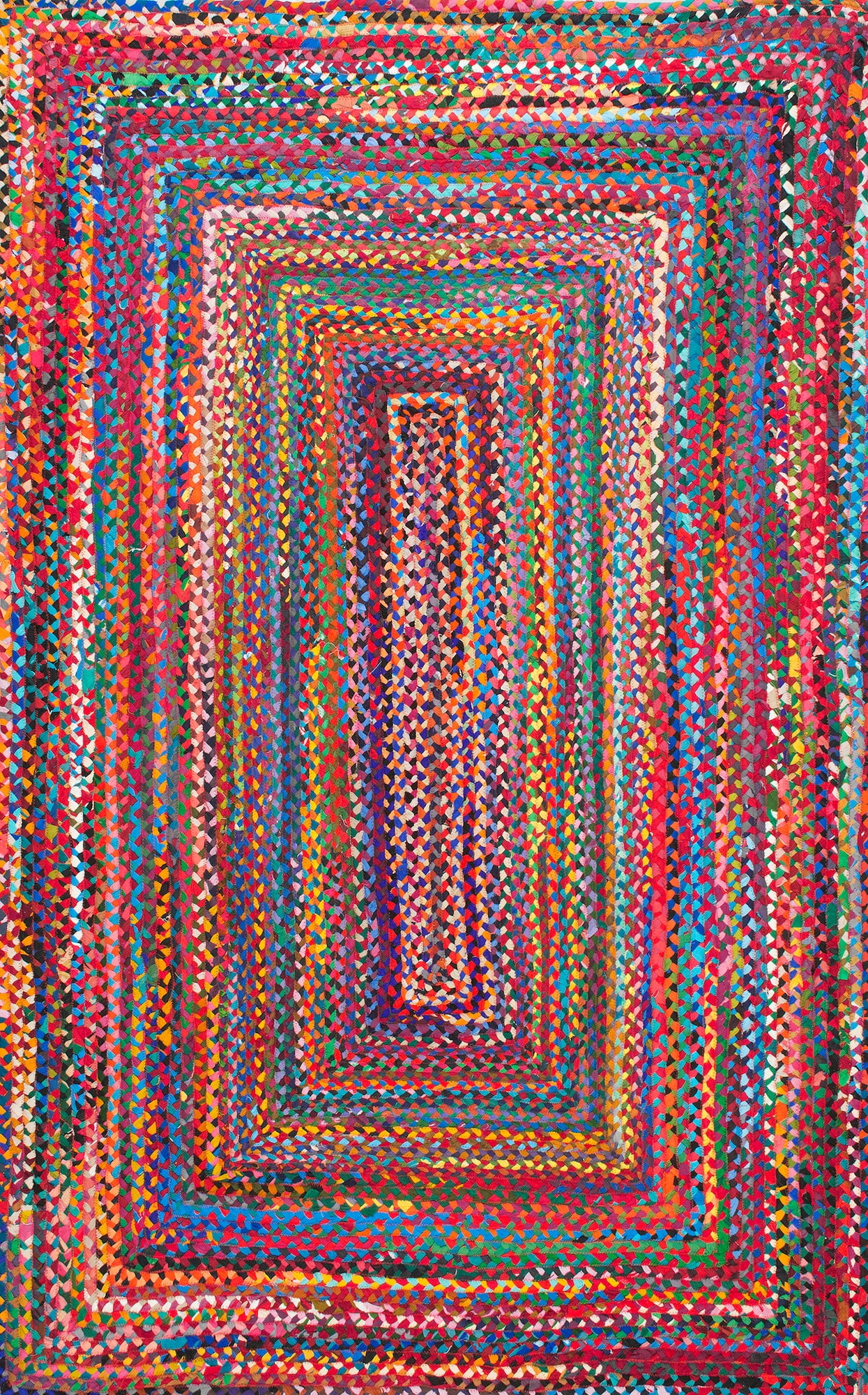 Tammara Multi-Color Hand Braided Cotton Oval Area Rug 4' x 6'