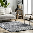 thumbnail image 1 of nuLOOM Moroccan Barbara Area Rug, 5' 3" x 7' 7", Barbara Grey, 1 of 5