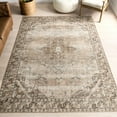 thumbnail image 1 of Nuloom Hillstone Collection Traditional Vintage Medallion Area Rug, 4' x 6', Ahmeira Beige, 1 of 7