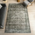 thumbnail image 1 of nuLOOM Rania SplashGuard Medallion Machine Washable Area Rug, 5' x 8', Rania Sage Green, 1 of 11