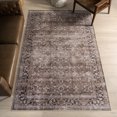thumbnail image 1 of nuLOOM Rania SplashGuard Medallion Machine Washable Area Rug, 8' x 10', Rania Brown, 1 of 11