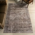 thumbnail image 1 of nuLOOM Rania SplashGuard Medallion Machine Washable Area Rug, 9' x 12', Rania Brown, 1 of 11