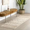 thumbnail image 1 of Nuloom Sia SplashGuard Vintage Floral Machine Washable Area Rug, 2' 6" x 8', Runner, Sia Beige, 1 of 9