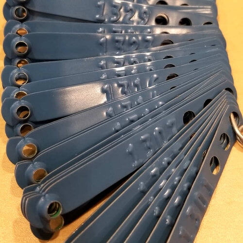 Numbered Light Blue Leg Bands 100Pcs