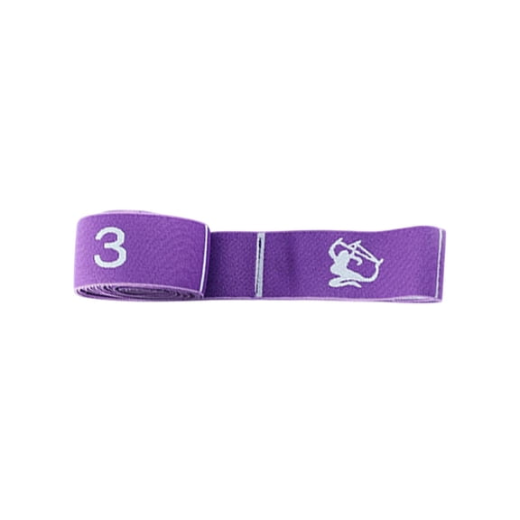 Numbered Resistance Band with 10 Loops for Stretching and Physical Therapy Multi-Section Elastic Exercise Strap for Yoga Pilates and Home Fitness Dark Purple